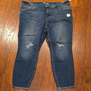 Stylish Blue Distressed Women's Jeans